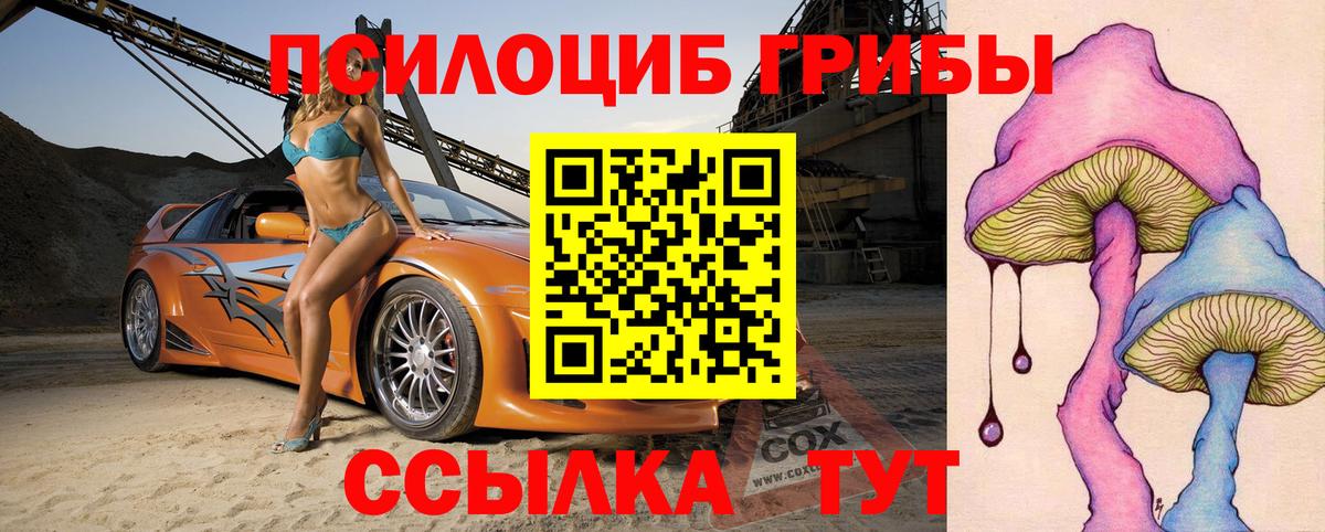 Галлюциногенные грибы Psilocybe  Галлюциногенные грибы Psilocybine cubensis  Элиста  Вход с VPN 